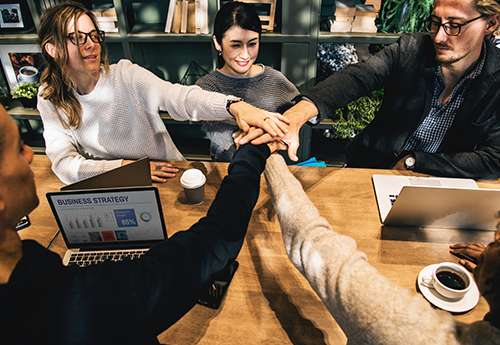 30+ years experience